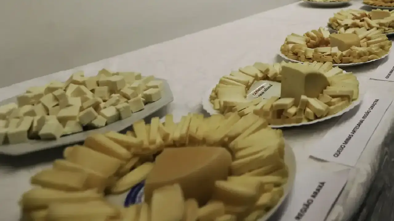 Brasil começa a importar queijo mais barato após acordo Mercosul–UE