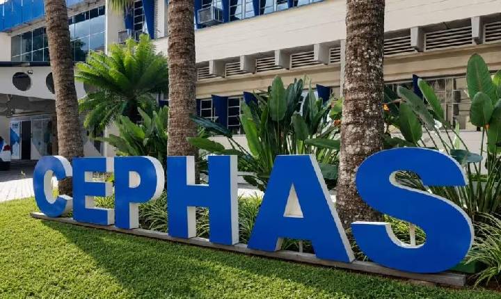 Cephas abre 104 vagas para cinco cursos gratuitos de qualificação em São José