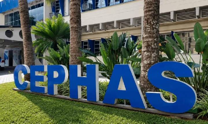 Cephas tem cursos de tecnologia em parceria com o Senai
