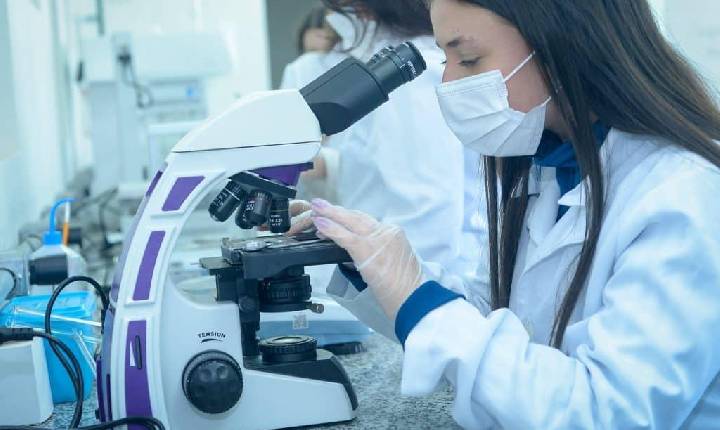 Cientistas propõem medidas para conter avanço de fungos resistentes a medicamentos