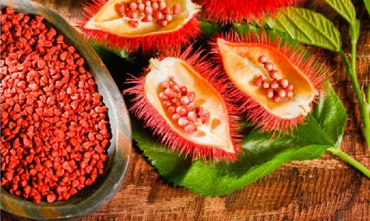Colorau além do tempero: conheça a planta brasileira mais usada pela indústria para dar cor aos alimentos