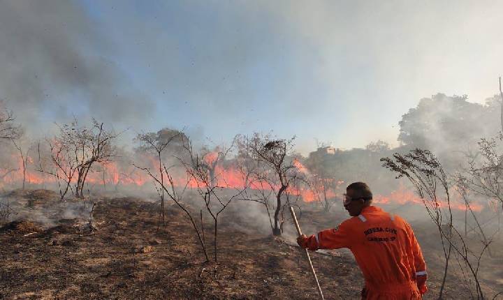 Defesa Civil alerta para aumento do risco de incêndios em SP e monitora possível influência do El Niño