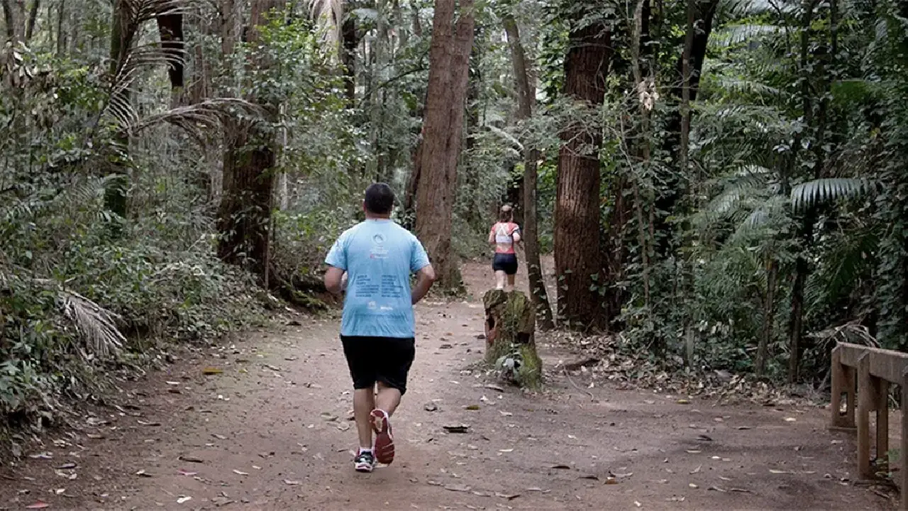 Entenda como pequenos movimentos diários fazem a diferença para a saúde e qualidade de vida