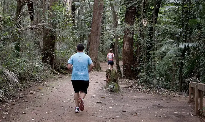 Entenda como pequenos movimentos diários fazem a diferença para a saúde e qualidade de vida
