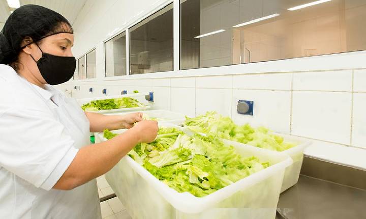 Especialistas detalham como evitar riscos de intoxicação alimentar no ambiente doméstico