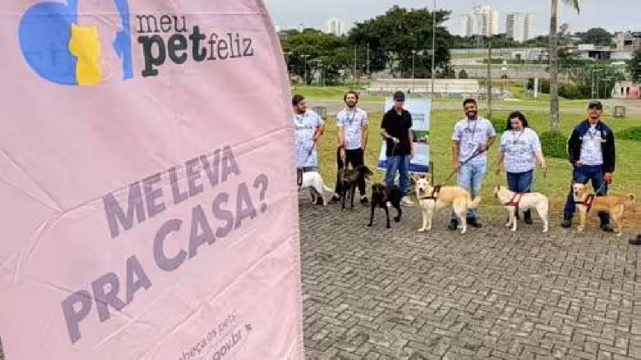 Feira de adoção itinerante leva pets até o Aquarius no sábado