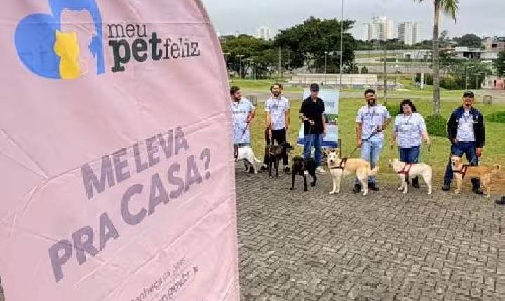 Feira de adoção itinerante leva pets até o Aquarius no sábado
