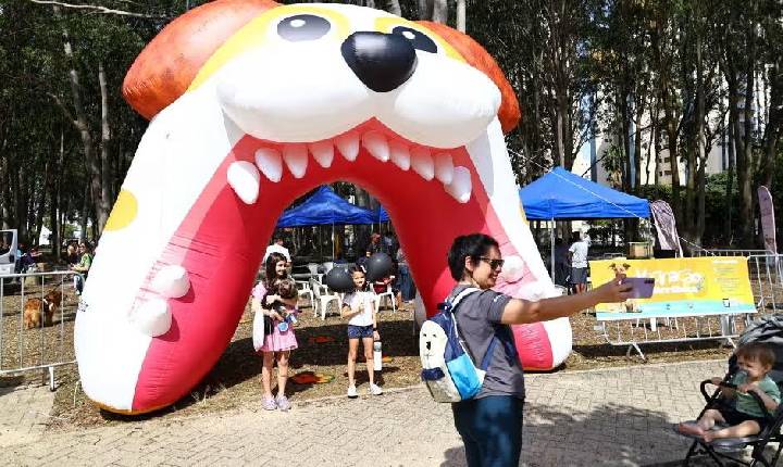 Feira itinerante de adoção de pets chega a shopping no domingo