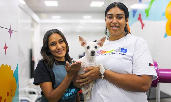 Governo de SP promove mutirões gratuitos em maio para castrar cerca de 5 mil cães e gatos