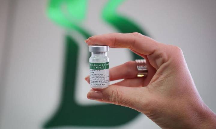 Grávidas, puérperas e lactantes podem tomar a vacina contra dengue do Instituto Butantan? Entenda
