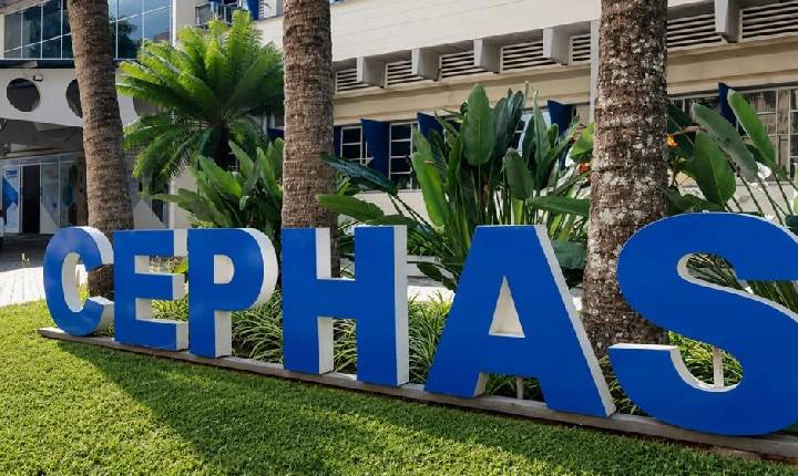 Inscrições para o Vestibulinho Cephas 2026 entram na reta final