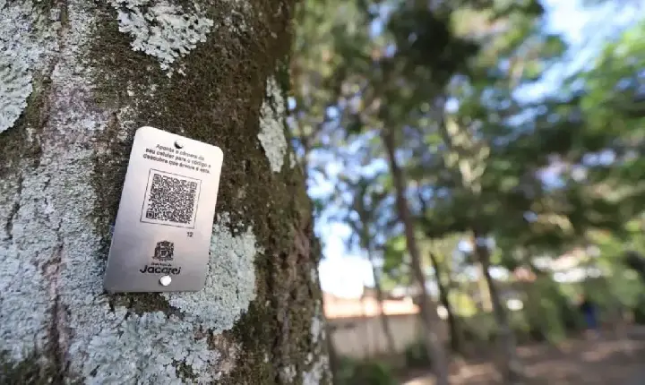 Jacareí instala mais de 1.700 QR Codes em árvores de ruas e praças da cidade