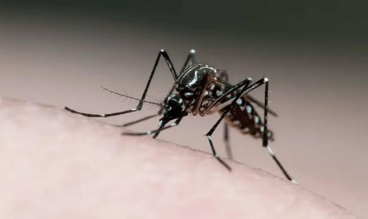 Jacareí registra terceira morte por dengue no ano