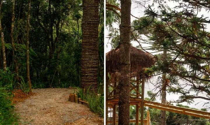 Parque de dinossauros em Campos do Jordão, com investimento de R$ 50 milhões, abre vagas de emprego