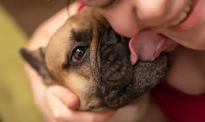 Pets fazem tão bem à saúde quanto amigos e família, aponta estudo