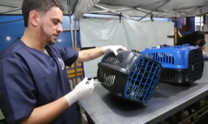 Prefeitura de Jacareí libera senhas para mutirão de castração
