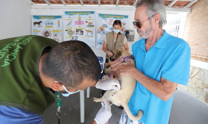 Prefeitura de Jacareí realiza vacinação antirrábica de cães e gatos no Parque Meia-Lua na próxima terça-feira (29)