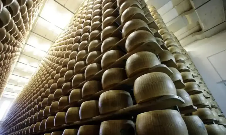 Queijo brasileiro é eleito o melhor do mundo em concurso internacional