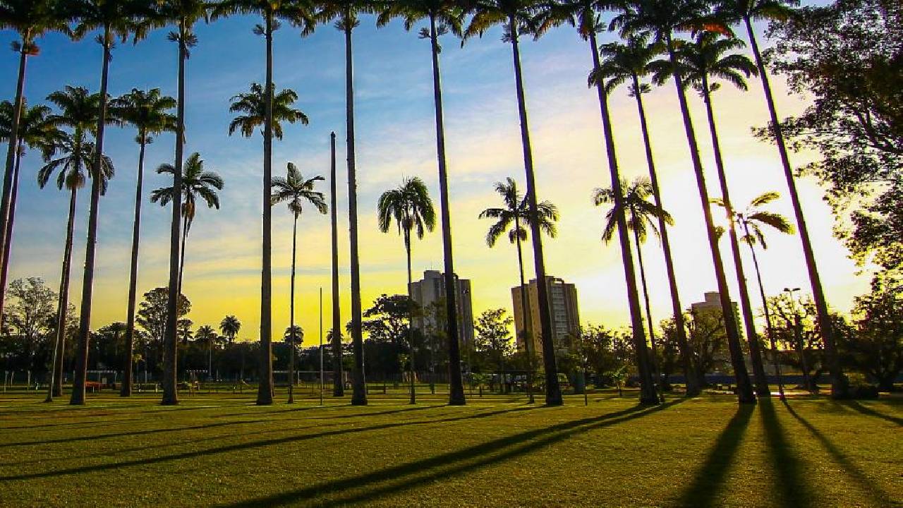 Sanja Coffee Party estreia no domingo com 1.500 participantes