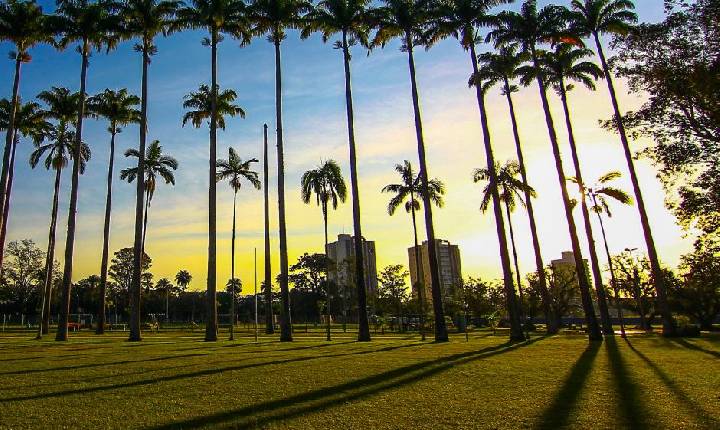 Sanja Coffee Party estreia no domingo com 1.500 participantes