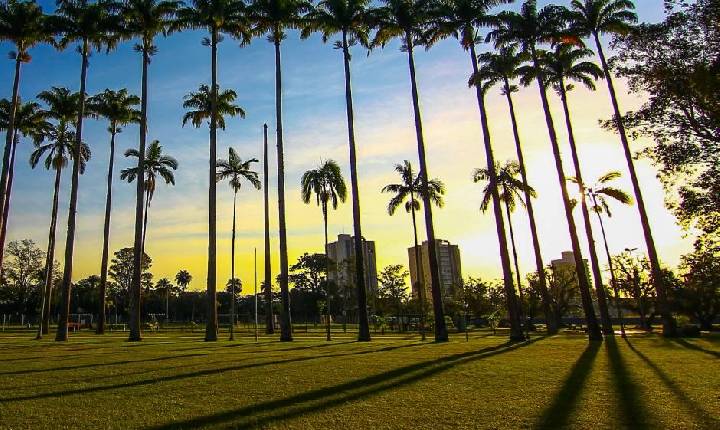 São José busca recorde com maior treino de crossfit do mundo