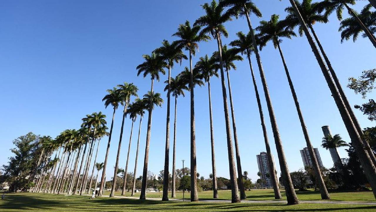 SÃO JOSÉ: Em busca do recorde mundial de cross training neste domingo