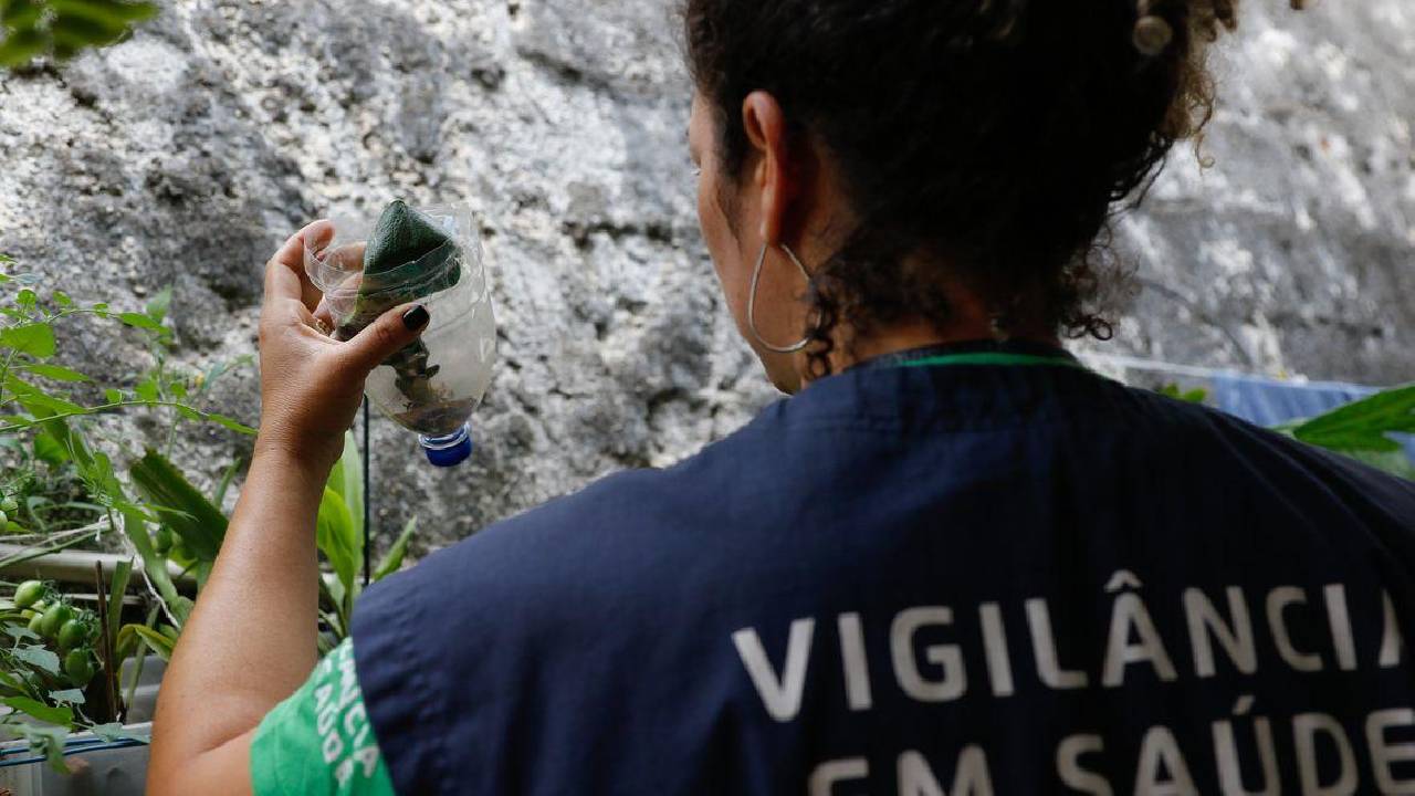 São Paulo tem mais de 58 mil casos de dengue desde o início do ano