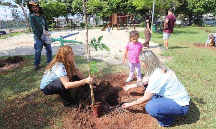 Semana da Primavera reúne programação nas escolas e no Viveiro Municipal entre 20 e 27 de setembro, em Jacareí