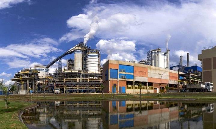 Suzano abre vagas de emprego na fábrica de Jacareí; saiba como se candidatar