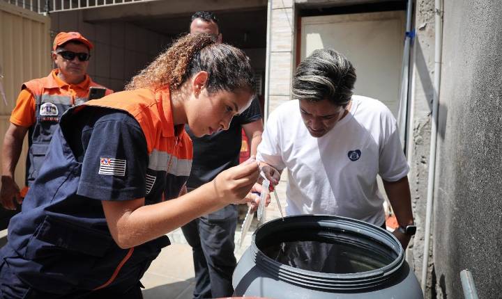 Vai viajar? Saúde SP dá dicas de como proteger sua casa do mosquito da dengue no feriado