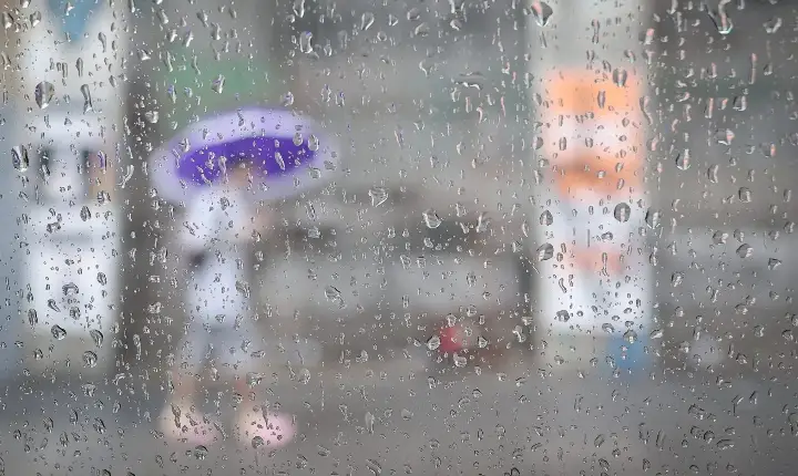 Veja medidas de segurança que devem ser adotadas em casos de ventos e chuvas extremas