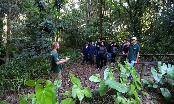 “Viver o Viveiro” tem oficina para construção de minhocário, escalda-pés e doação de mudas neste domingo (24), em Jacareí