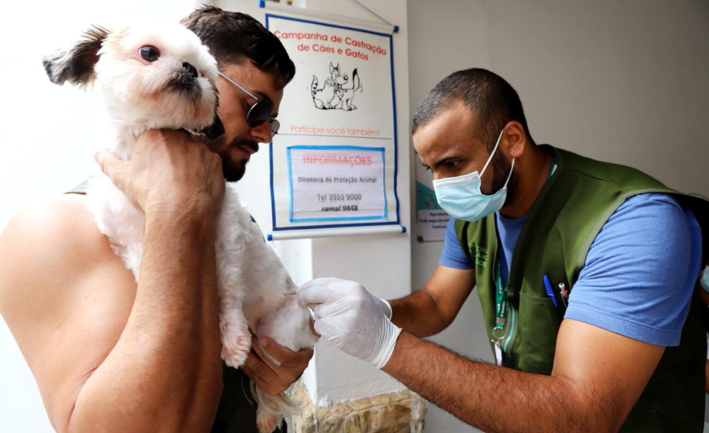 Atenção moradores da região do Jardim Siesta! Prefeitura de Jacareí realiza vacinação antirrábica para cães e gatos neste sábado (27)