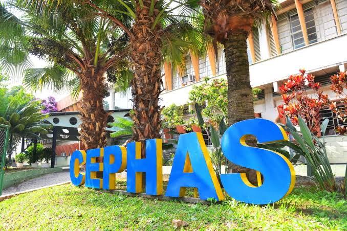 Cephas abre 2,7 mil vagas em cursos gratuitos em São José dos Campos; veja como se inscrever