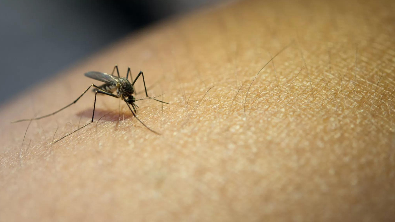 Jacareí chega a 52 mortes por dengue e Vale atinge 144 óbitos
