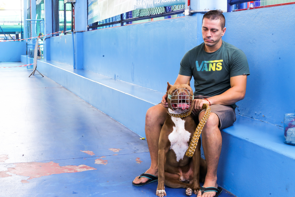 São José oferece 1.000 vagas para castração para pets