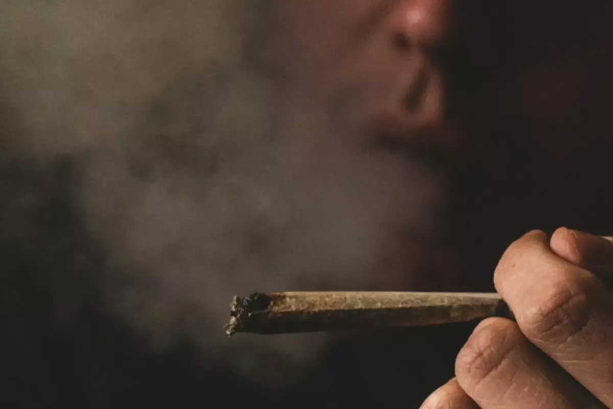 Descriminalização do porte de maconha vale a partir de hoje