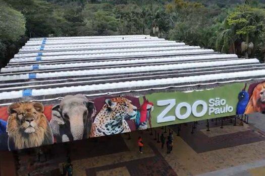 Dia dos Pais: Pais entram de graça no zoológico de SP em agosto; Saiba como