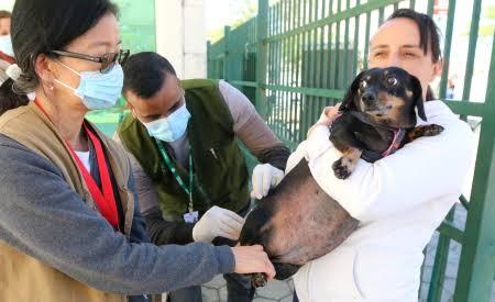 Jacareí promove vacinação antirrábica gratuita para cães e gatos neste fim de semana
