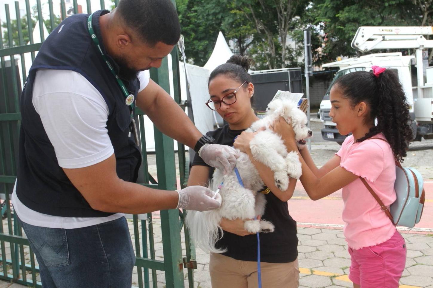Jacareí realiza vacinação antirrábica no fim de semana