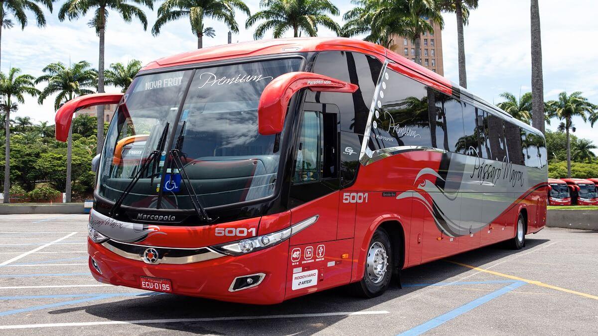 Aeroporto de São José dos Campos passa a receber ônibus da Pássaro Marron