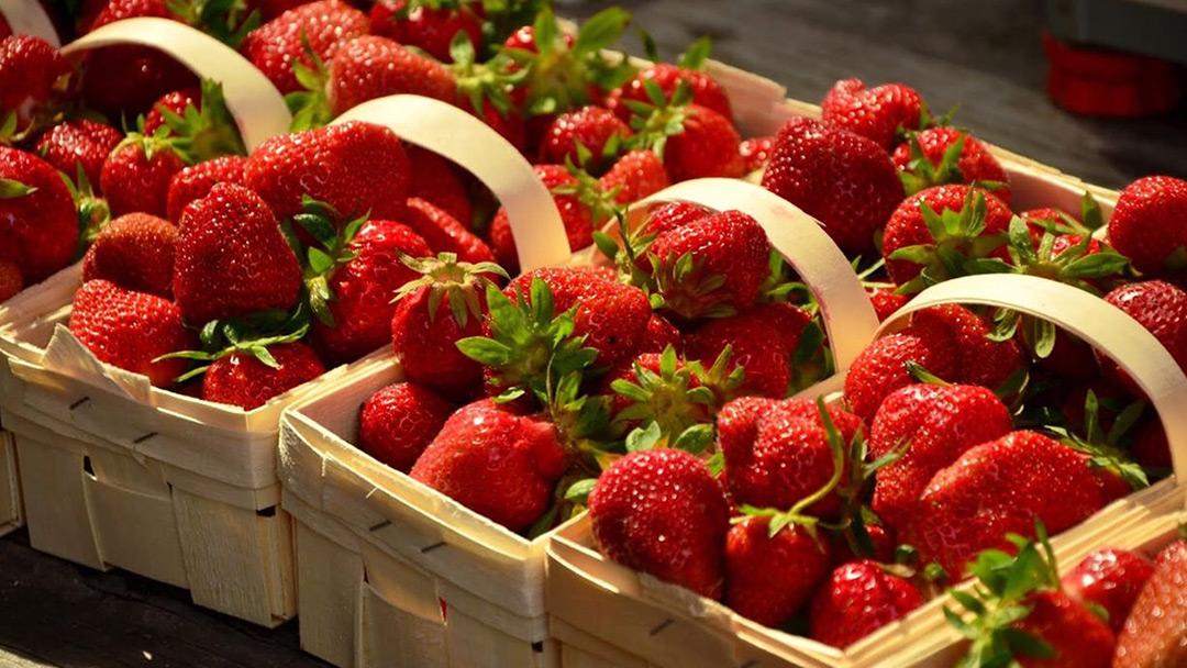 Festa do morango chega ao Shopping Jardim Oriente com entrada gratuita nesta quinta-feira (30)