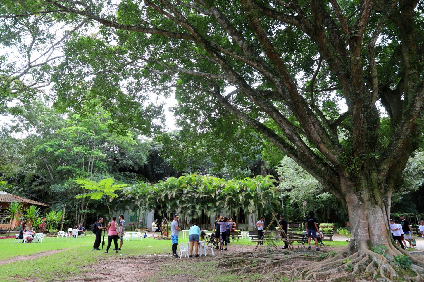 ‘Viver o Viveiro’: domingo tem programação com EcoAventura, jogos e troca de mudas em Jacareí