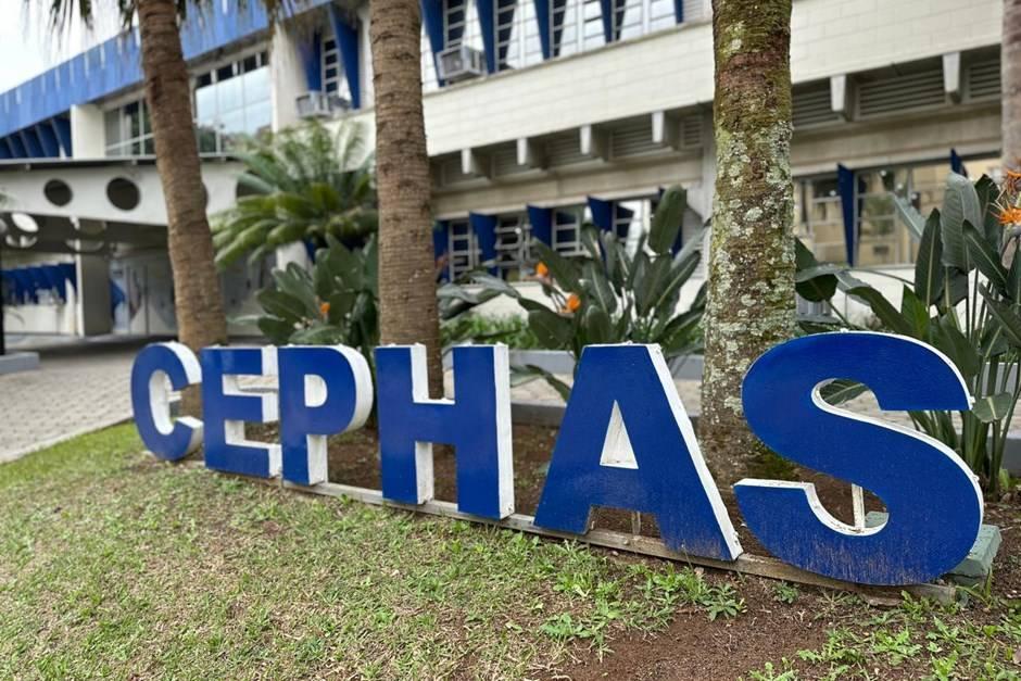Cephas oferece mais de 2.000 vagas em cursos gratuitos em São José