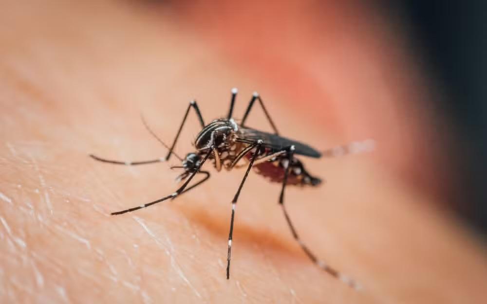 Governo Federal anuncia ações de apoio a São José dos Campos e Jacareí no combate à dengue
