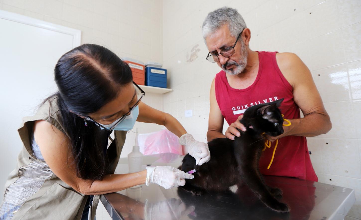 Vacinação antirrábica gratuita para cães e gatos acontece neste sábado (26), em Jacareí