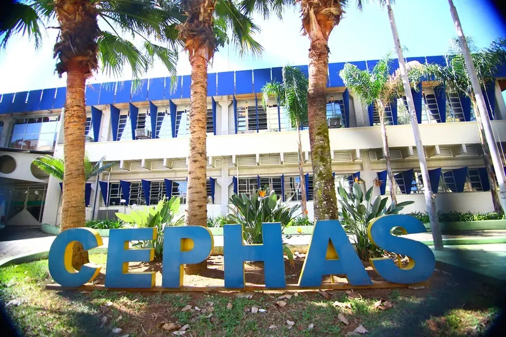 Cephas abre 2 mil vagas em cursos gratuitos de qualificação em São José
