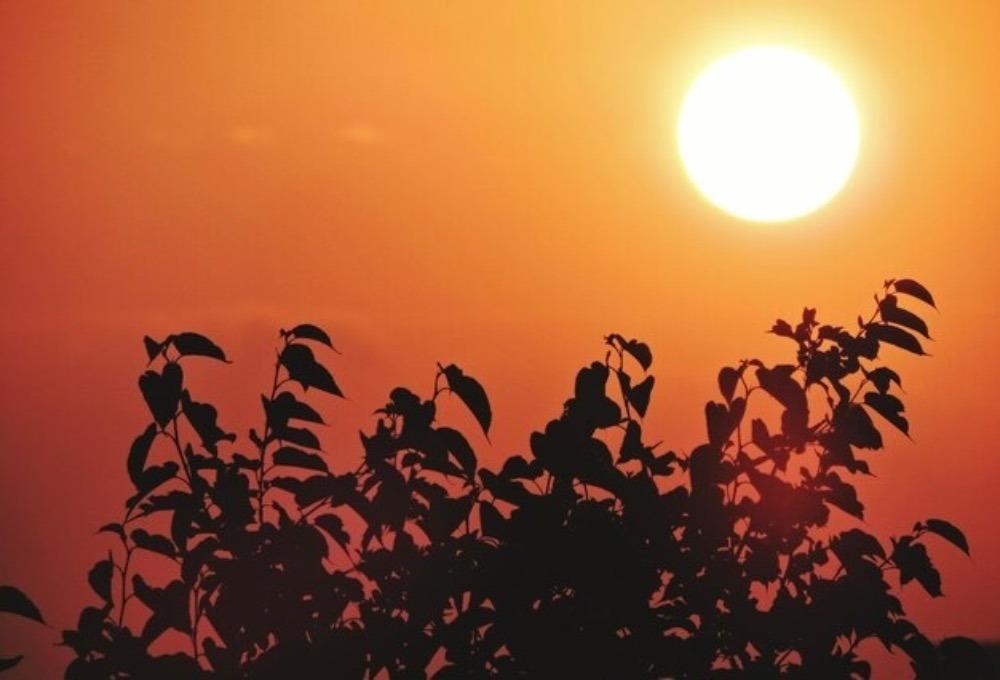 Confira a previsão do tempo em São José nesta sexta-feira (19)