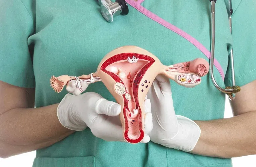Setembro em Flor: Campanha alerta para baixa cobertura vacinal contra o HPV no Brasil