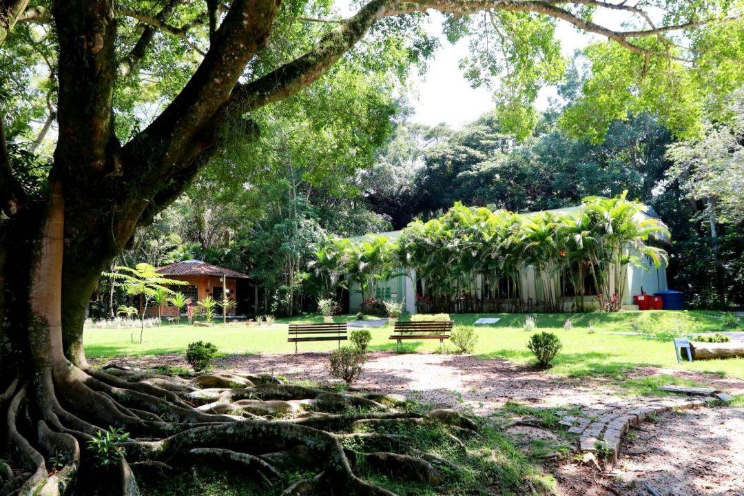 “Viver o Viveiro” inova com oferta de gastronomia e artesanato a partir deste domingo (14), em Jacareí
